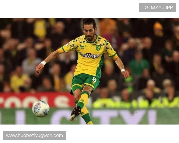 Y8体育平台的赛事资讯更新频率与信息来源分析